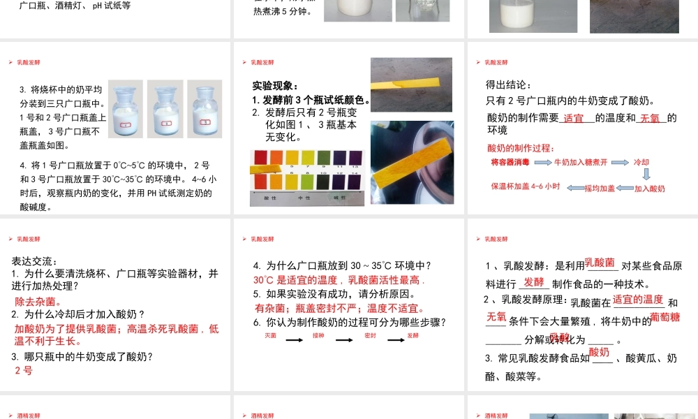 八年级生物下册 7.1.1发酵技术课件 （新版）济南版-（新版）济南级下册生物课件