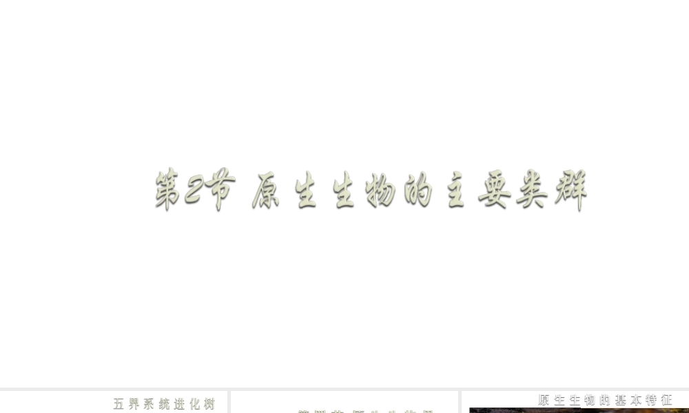 八年级生物下册 22.2 原生生物的主要类群课件 （新版）北师大版-（新版）北师大级下册生物课件