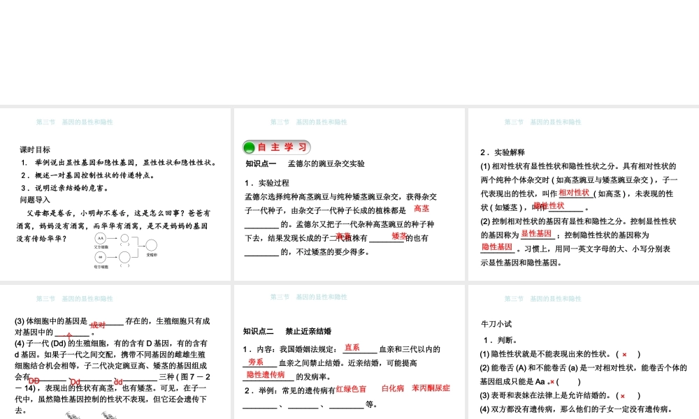 八年级生物下册 7.2.3基因的显性和隐性课件 （新版）新人教版-（新版）新人教版初中八年级下册生物课件