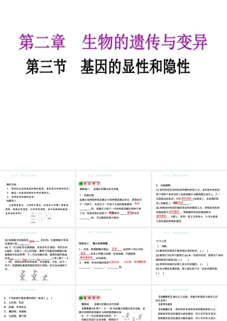 八年级生物下册 7.2.3基因的显性和隐性课件 （新版）新人教版-（新版）新人教版初中八年级下册生物课件