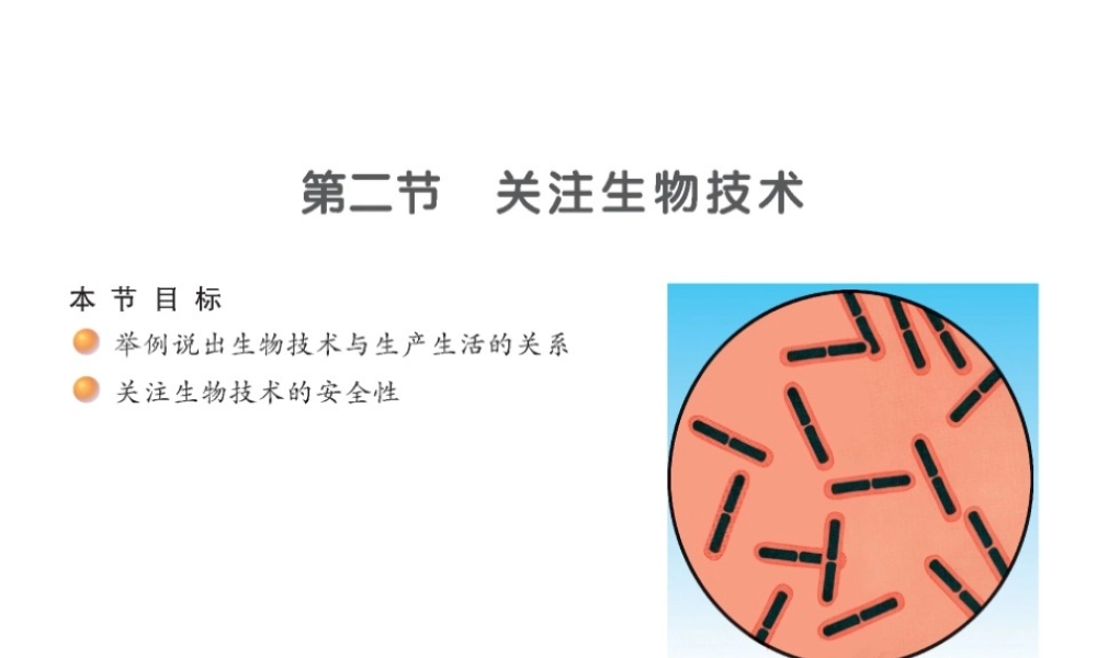 八年级生物下册 24-2 关注生物技术课件 （新版）苏教版-（新版）苏教版初中八年级下册生物课件