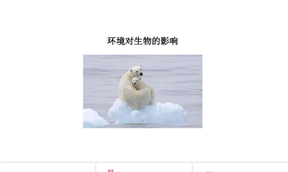 八年级生物下册 7.1.1环境对生物的影响教学课件 （新版）冀教版-（新版）冀教版初中八年级下册生物课件