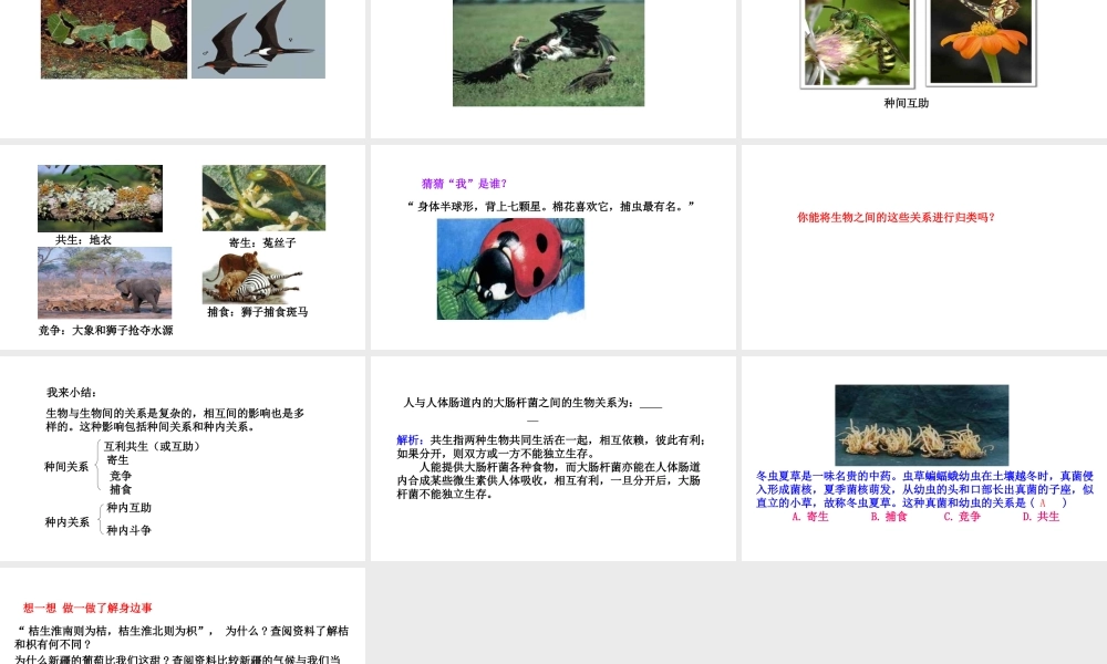 八年级生物下册 7.1.1环境对生物的影响教学课件 （新版）冀教版-（新版）冀教版初中八年级下册生物课件