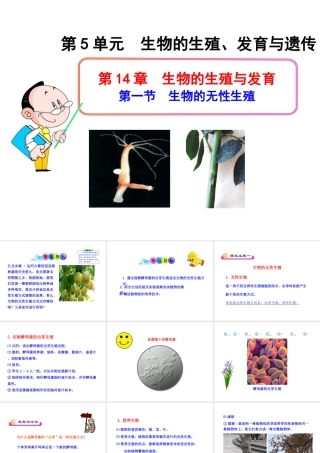 八年级生物下册 第14章 生物的生殖与发育 第一节 生物的无性生殖课件 苏教版
