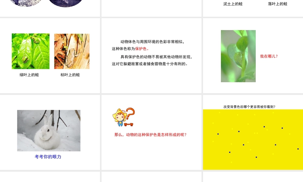 八年级生物下册 7.3.3 生物进化的原因教学课件 （新版）新人教版-（新版）新人教级下册生物课件