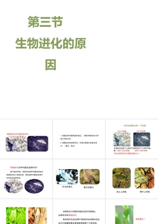 八年级生物下册 7.3.3 生物进化的原因教学课件 （新版）新人教版-（新版）新人教级下册生物课件