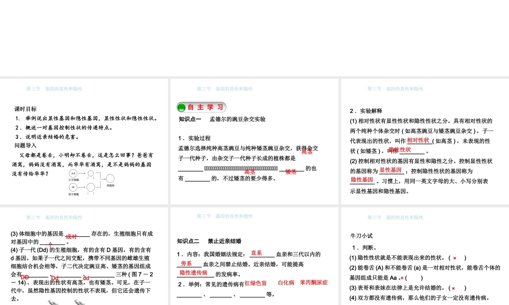 八年级生物下册 7.2.3基因的显性和隐性课件 （新版）新人教版-（新版）新人教级下册生物课件