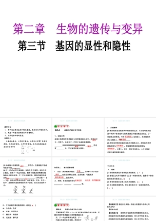 八年级生物下册 7.2.3基因的显性和隐性课件 （新版）新人教版-（新版）新人教级下册生物课件