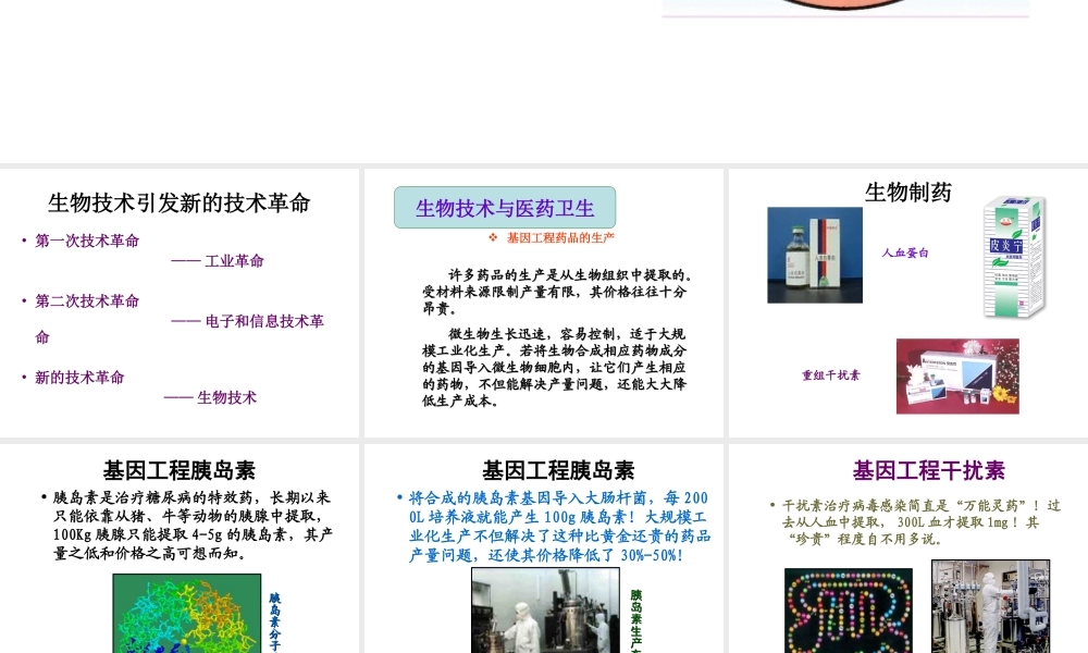 八年级生物下册 24-2 关注生物技术课件 （新版）苏教版-（新版）苏教级下册生物课件