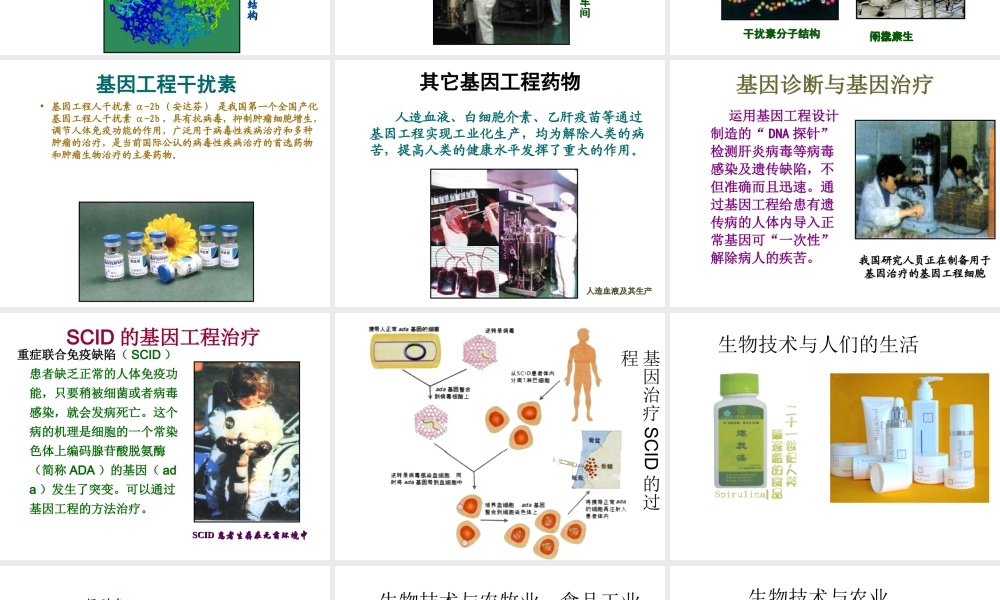八年级生物下册 24-2 关注生物技术课件 （新版）苏教版-（新版）苏教级下册生物课件
