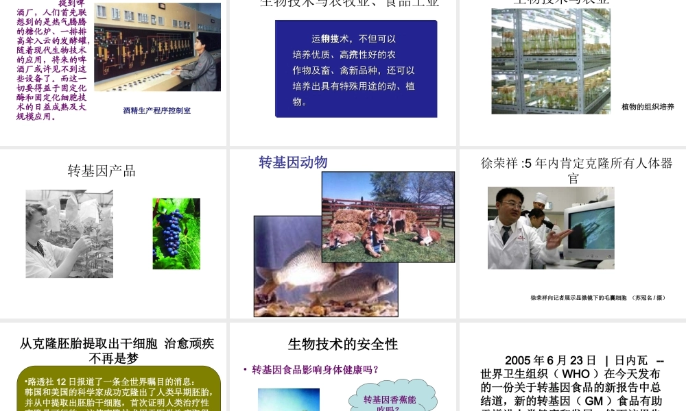 八年级生物下册 24-2 关注生物技术课件 （新版）苏教版-（新版）苏教级下册生物课件