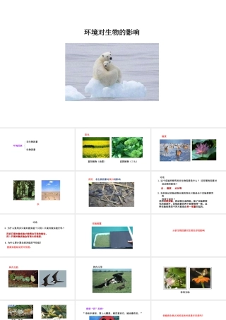 八年级生物下册 7.1.1环境对生物的影响教学课件 （新版）冀教版-（新版）冀教级下册生物课件