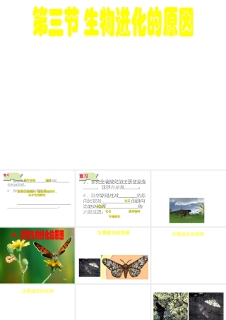 八年级生物下册 7.3.3 生物进化的原因课件 （新版）新人教版-（新版）新人教版初中八年级下册生物课件