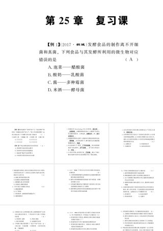 八年级生物下册 25 生物技术整理与复习课件 （新版）北师大版-（新版）北师大版初中八年级下册生物课件
