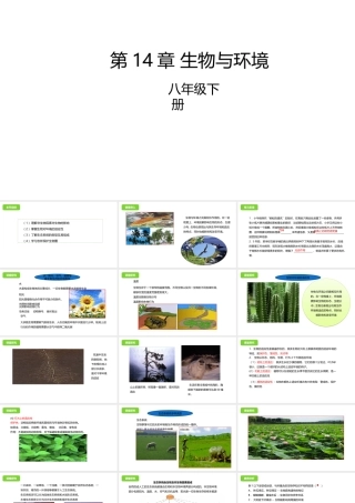八年级生物下册 第14章 生物与环境课件 北京课改版-北京课改版初中八年级下册生物课件