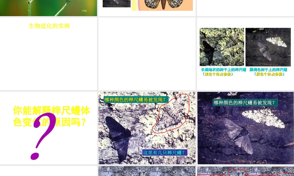 八年级生物下册 7.3.3 生物进化的原因课件 （新版）新人教版-（新版）新人教级下册生物课件