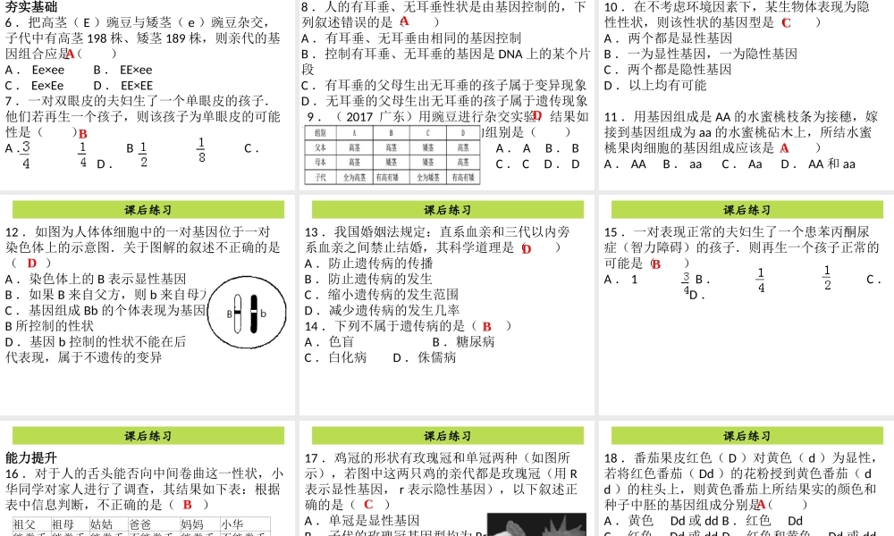 八年级生物下册 7.2.3基因的显性和隐性课件（新版）新人教版-（新版）新人教级下册生物课件