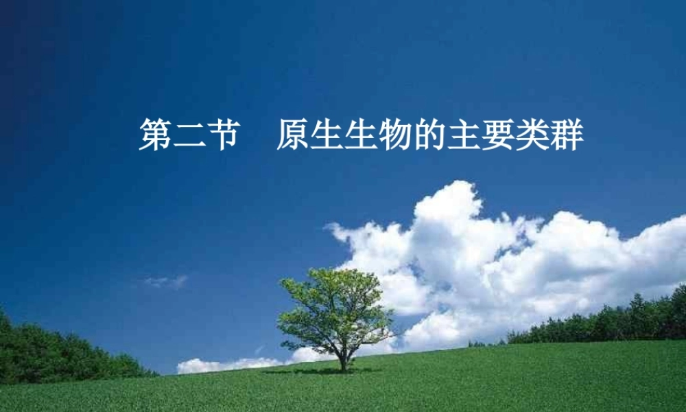 八年级生物下册 22.2《原生生物的主要类群》课件1 （新版）北师大版-（新版）北师大版初中八年级下册生物课件