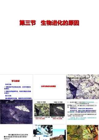 八年级生物下册 7.3.3 生物进化的原因课件 新人教版-新人教版初中八年级下册生物课件