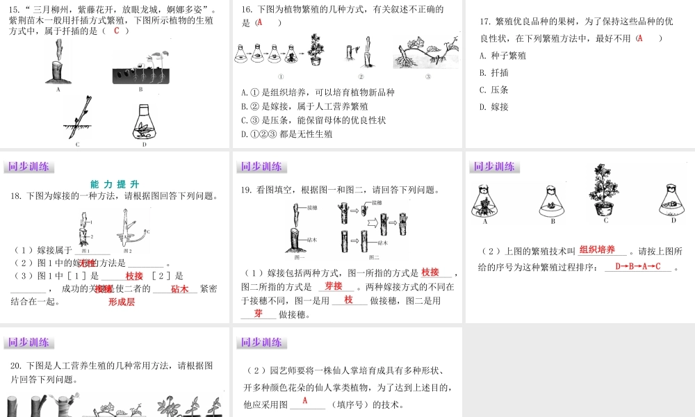 八年级生物下册 7.1.1植物的生殖课件（新版）新人教版-（新版）新人教版初中八年级下册生物课件