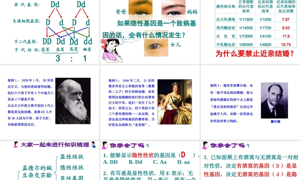 八年级生物下册 7.2.3基因的显性和隐性课件1 （新版）新人教版-（新版）新人教版初中八年级下册生物课件