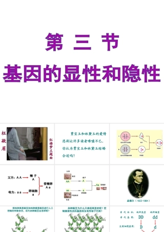 八年级生物下册 7.2.3基因的显性和隐性课件1 （新版）新人教版-（新版）新人教版初中八年级下册生物课件
