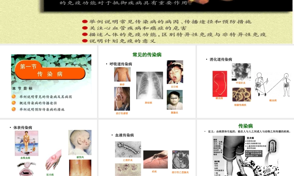 八年级生物下册 25.1 传染病课件 （新版）苏教版-（新版）苏教版初中八年级下册生物课件