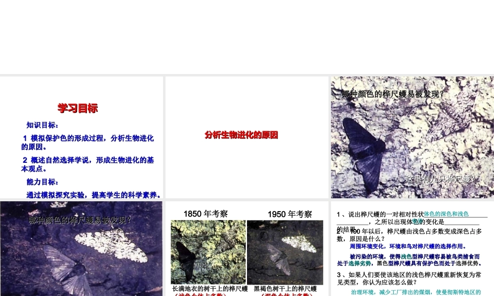 八年级生物下册 7.3.3 生物进化的原因课件 新人教版-新人教级下册生物课件