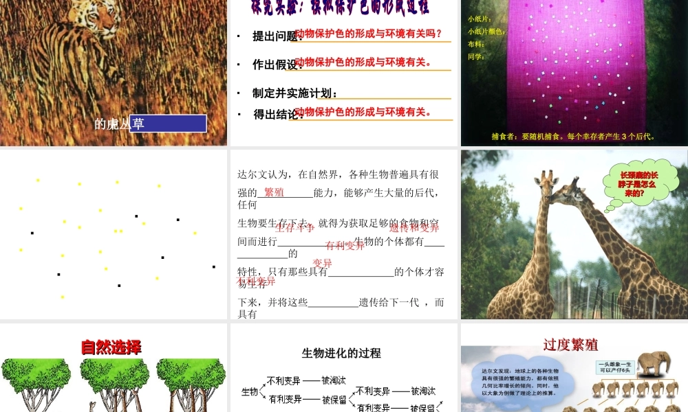 八年级生物下册 7.3.3 生物进化的原因课件 新人教版-新人教级下册生物课件