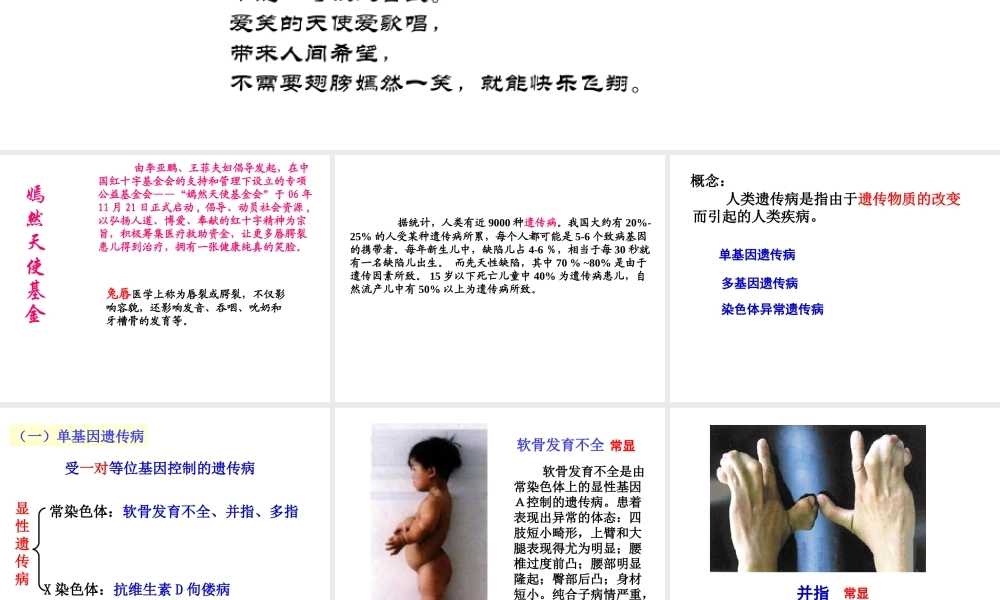 八年级生物下册 第15章 第4节 遗传病和优生优育课件 苏教版