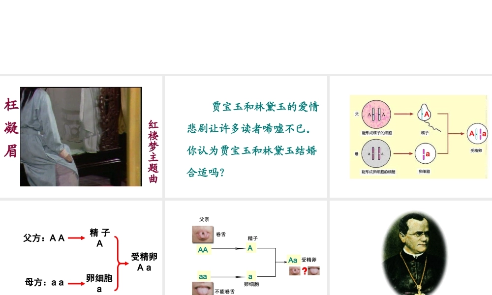 八年级生物下册 7.2.3基因的显性和隐性课件1 （新版）新人教版-（新版）新人教级下册生物课件