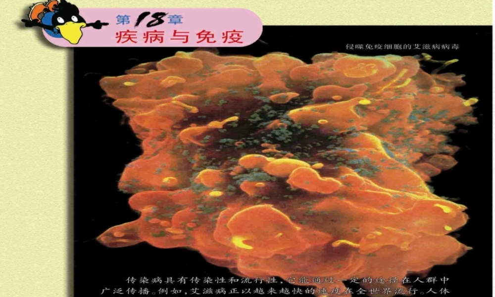 八年级生物下册 25.1 传染病课件 （新版）苏教版-（新版）苏教级下册生物课件