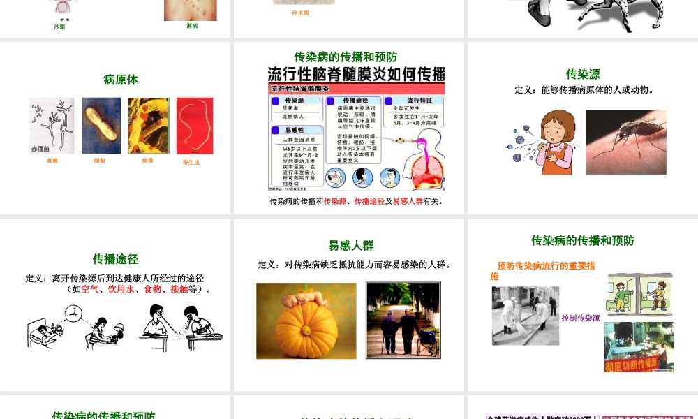 八年级生物下册 25.1 传染病课件 （新版）苏教版-（新版）苏教级下册生物课件