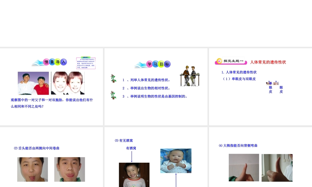 八年级生物下册 第15章 第二节 人的性状和遗传课件 苏教版