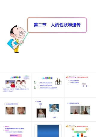 八年级生物下册 第15章 第二节 人的性状和遗传课件 苏教版
