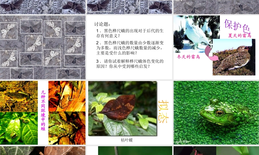 八年级生物下册 7.3.3 生物进化的原因课件（1） 新人教版-新人教版初中八年级下册生物课件