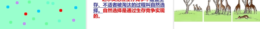 八年级生物下册 7.3.3 生物进化的原因课件（1） 新人教版-新人教版初中八年级下册生物课件