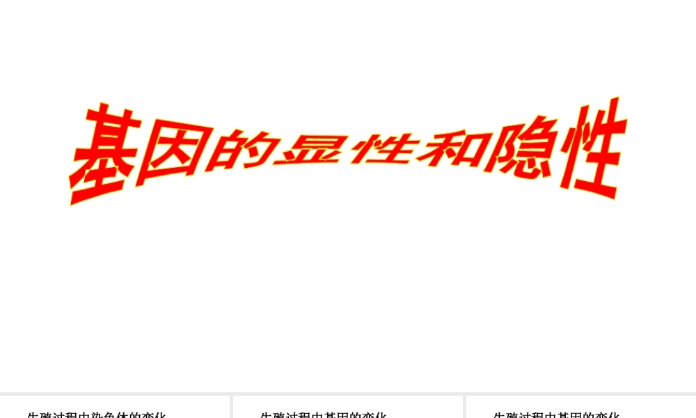 八年级生物下册 7.2.3基因的显性和隐性课件2 （新版）新人教版-（新版）新人教版初中八年级下册生物课件