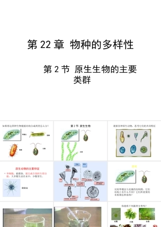 八年级生物下册 22.2《原生生物的主要类群》课件2 （新版）北师大版-（新版）北师大级下册生物课件