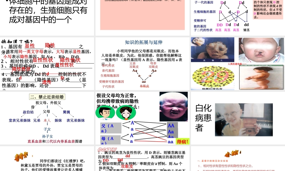 八年级生物下册 7.2.3基因的显性和隐性课件2 （新版）新人教版-（新版）新人教级下册生物课件