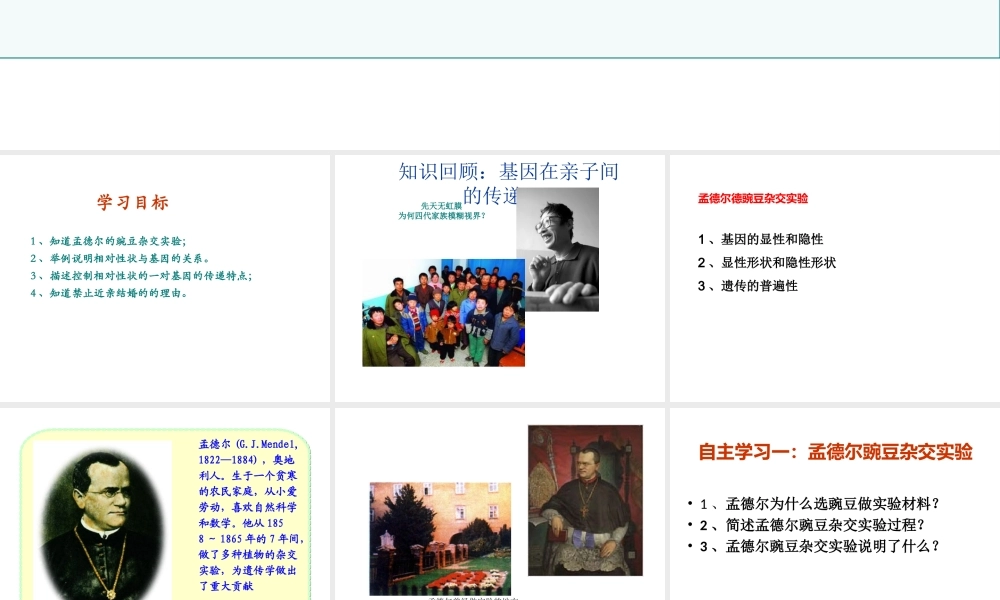 八年级生物下册 7.2.3基因的显性和隐性课件3 （新版）新人教版-（新版）新人教版初中八年级下册生物课件