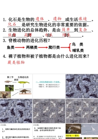 八年级生物下册 7.3.3 生物进化的原因课件（2） 新人教版-新人教版初中八年级下册生物课件