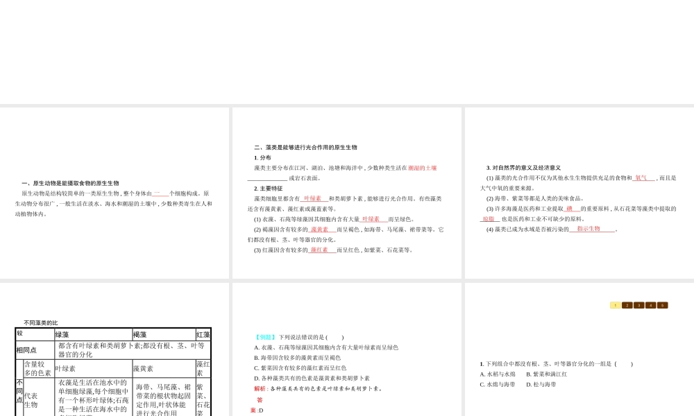 八年级生物下册 22.2原生生物的主要类群课件 （新版）北师大版-（新版）北师大级下册生物课件