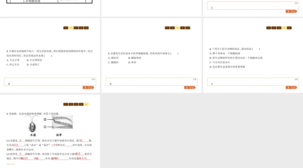 八年级生物下册 22.2原生生物的主要类群课件 （新版）北师大版-（新版）北师大级下册生物课件