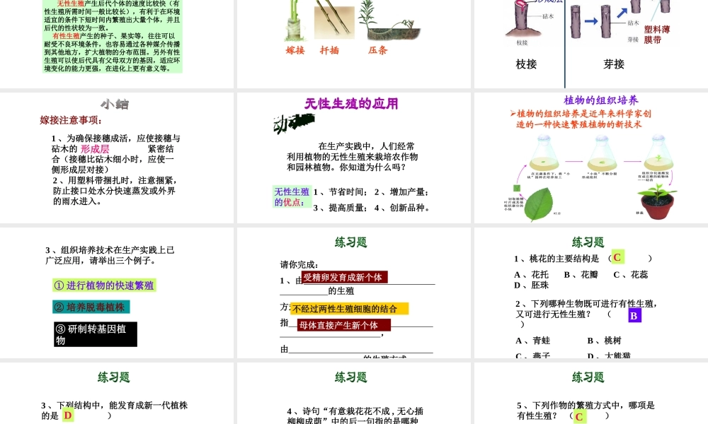 八年级生物下册 7.1.1植物的生殖课件2 （新版）新人教版-（新版）新人教版初中八年级下册生物课件