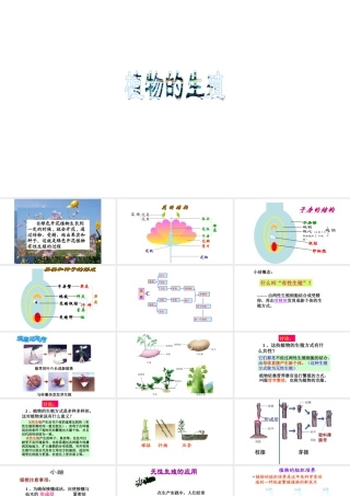 八年级生物下册 7.1.1植物的生殖课件2 （新版）新人教版-（新版）新人教版初中八年级下册生物课件