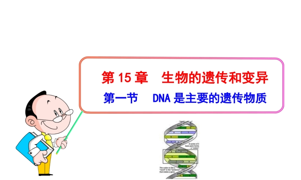 八年级生物下册 第15章 生物的遗传和变异 第一节 DNA是主要的遗传物质课件 苏教版