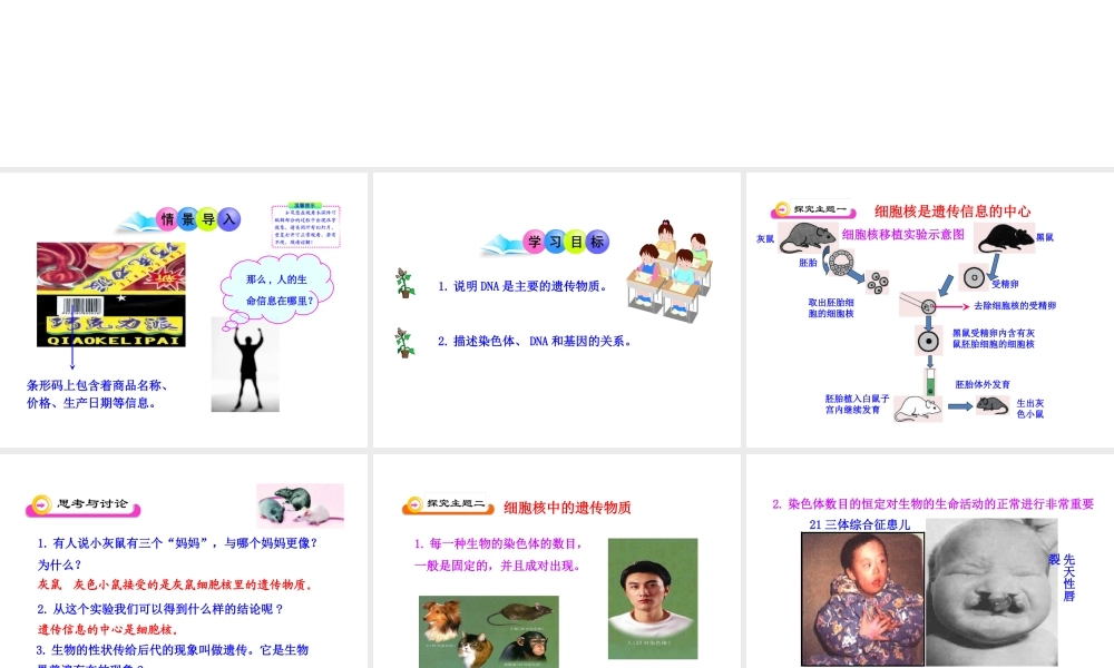 八年级生物下册 第15章 生物的遗传和变异 第一节 DNA是主要的遗传物质课件 苏教版