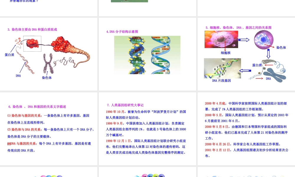 八年级生物下册 第15章 生物的遗传和变异 第一节 DNA是主要的遗传物质课件 苏教版