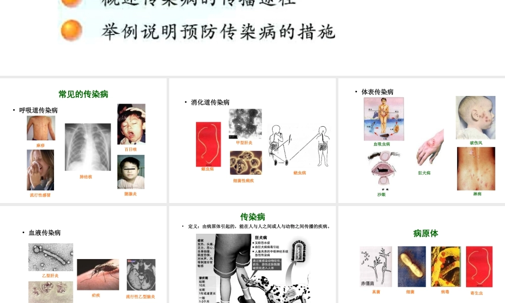 八年级生物下册 25.1 传染病课件2 （新版）苏教版-（新版）苏教级下册生物课件